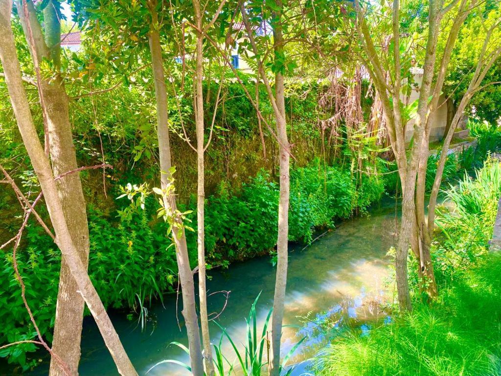 Domaine D'Ella Jourre Canet (Aude) Exterior foto